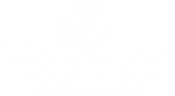 Essence Estética